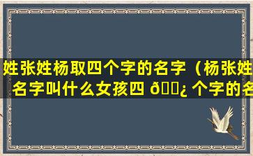 姓张姓杨取四个字的名字（杨张姓名字叫什么女孩四 🌿 个字的名字）